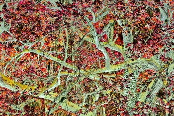 T 075B
